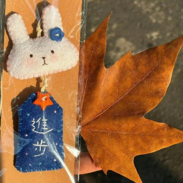 CS1.6透视设置技巧：优化游戏视角与操作体验